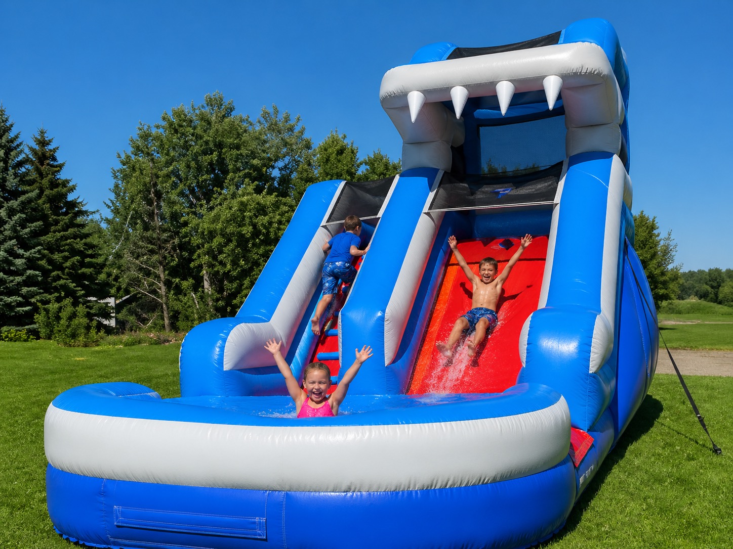 Shark Slide